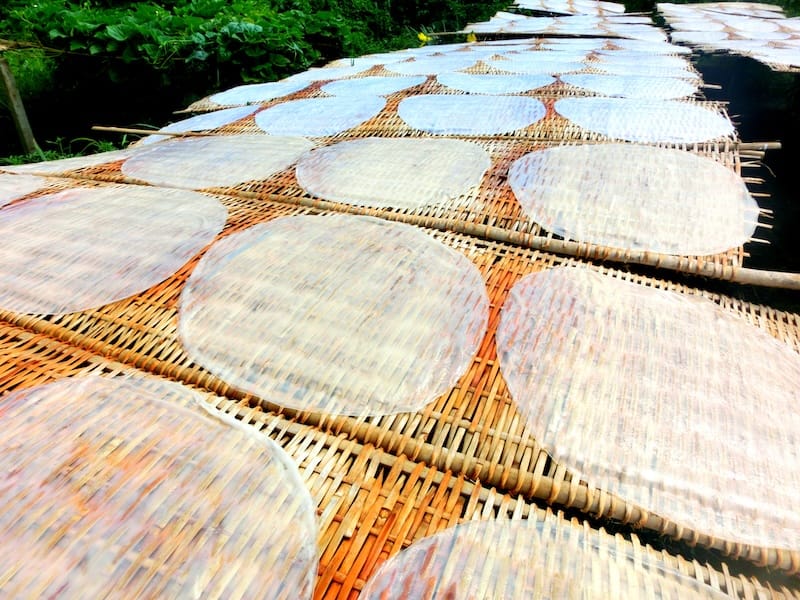 Rice paddies drying on wicker trays on the Mekong Delta Tour in Vietnam Rice paddies drying on wicker trays on the Mekong Delta Tour in Vietnam