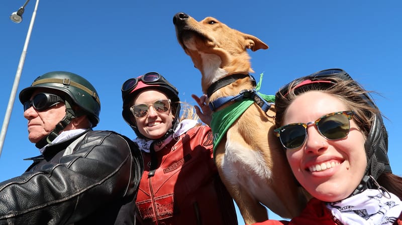 Riding with Cape Sidecar Adventures and their resident dog along with Becky and our driver