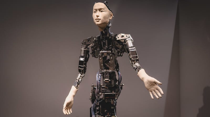 Robots in Japan as a high technological first impression as a visitor that might surprise you