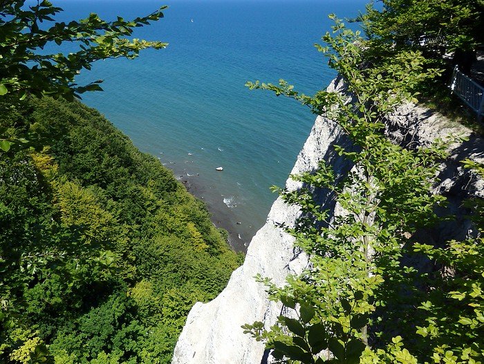 Looking down from the white chalk cliffs of Rügen Island in Germany, with lush green forest below and the turquoise waters of the Baltic Sea stretching to the horizon