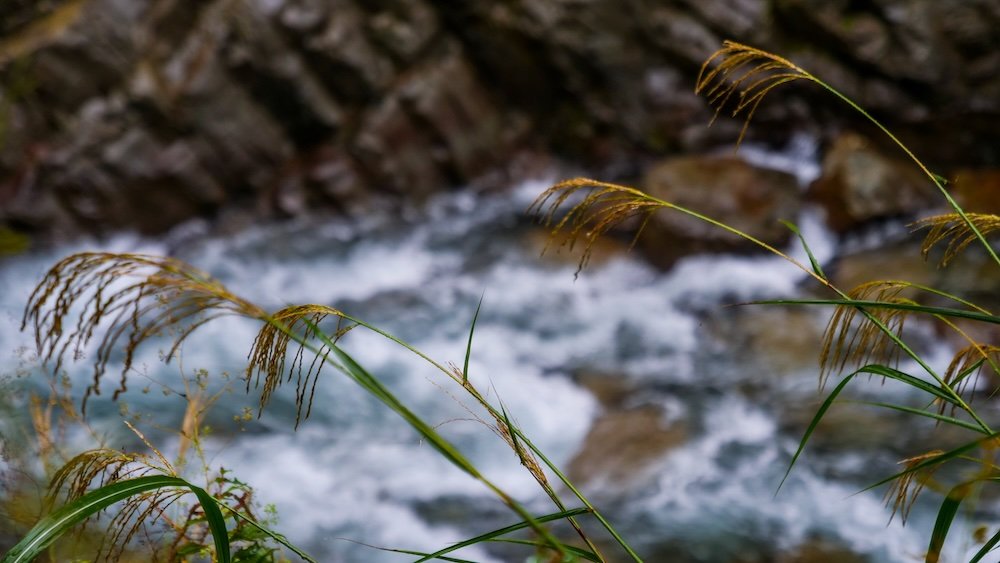 Rugged natural scenery experienced whilst visiting Kiyotsu Gorge on a day trip from Yuzawa in Japan Rugged natural scenery experienced whilst visiting Kiyotsu Gorge on a day trip from Yuzawa in Japan