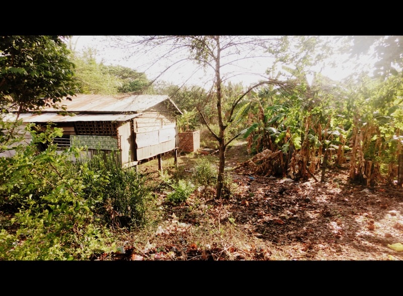 Rural stilt houses spotted during the bamboo train ride in Battambang, Cambodia 