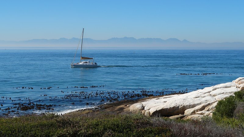 A sailboat glides across the calm blue waters off the shores of Boulders Beach in Simon’s Town, South Africa. Kelp forests float on the surface while distant mountain peaks rise through the haze, creating a serene coastal scene during a Cape Peninsula tour