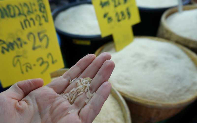 Sampling and holding rice in our hands at Chiang Mai market in Thailand 