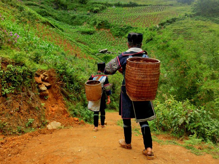 Tips for Trekking in Sapa, Vietnam: Adventure Trek in Vietnam!