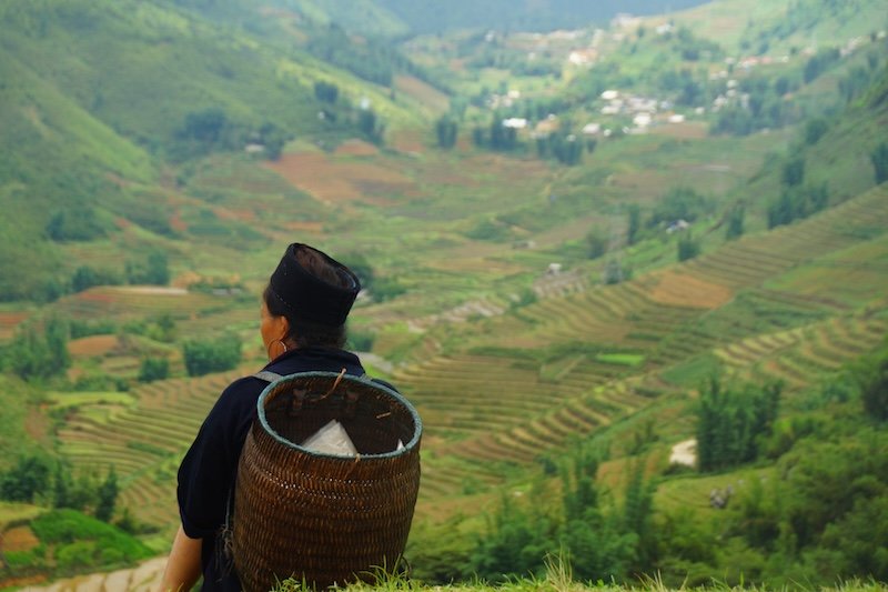 Woman wearing traditional attire and carrying a woven basket backpack while overlooking the terraced rice fields of Sapa, Vietnam during a mountain trek