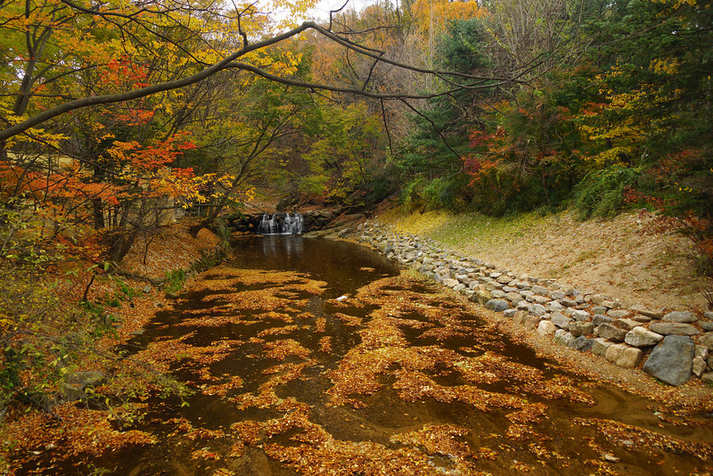 Scenic autumn shot of the river and trees in colorful fall colors and the Korean Folk Village in Yongin, South Korea