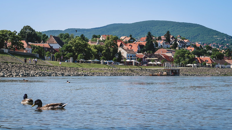 Scenic views from the river with ducks in the water on our trip to Szentendre Scenic views from the river with ducks in the water on our trip to Szentendre