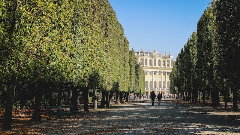 Tree-lined avenue leading toward the grand baroque façade of Schönbrunn Palace in Vienna, Austria, with dappled sunlight, fallen autumn leaves, and visitors strolling through the peaceful palace gardens Tree-lined avenue leading toward the grand baroque façade of Schönbrunn Palace in Vienna, Austria, with dappled sunlight, fallen autumn leaves, and visitors strolling through the peaceful palace gardens