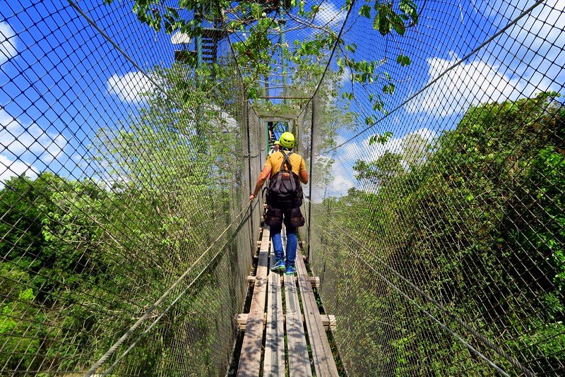 Traveler crossing a hanging canopy bridge on a jungle adventure at Selvatica near Playa del Carmen, Mexico