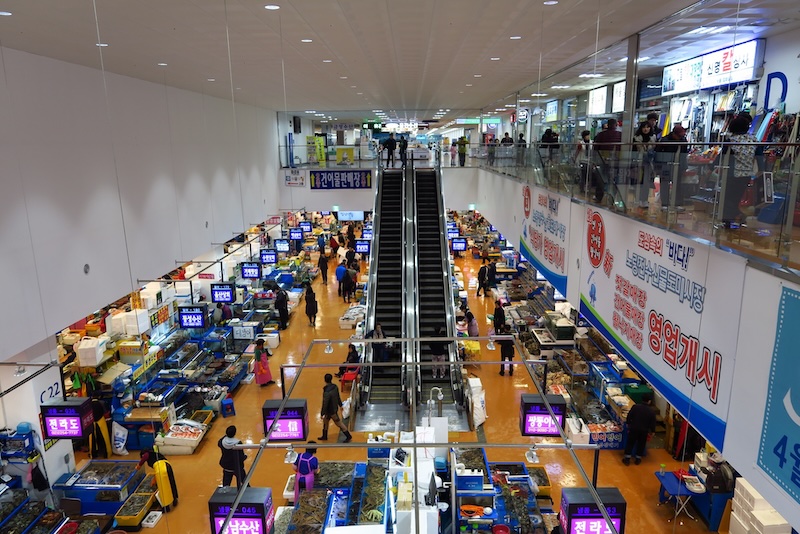 Seoul fish market where you can sample locally caught fresh seafood in South Korea 