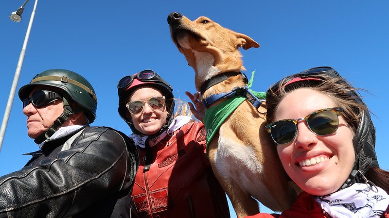 Sidecar tour in Stellenbosch, South Africa with That Backpacker Audrey Berger, cute dog, a good friend and driver all together for the ride 
