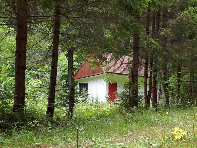 Spotting a little cottage in the forest while hiking in Romania. They really are hidden deep in the Romanian wilderness!
