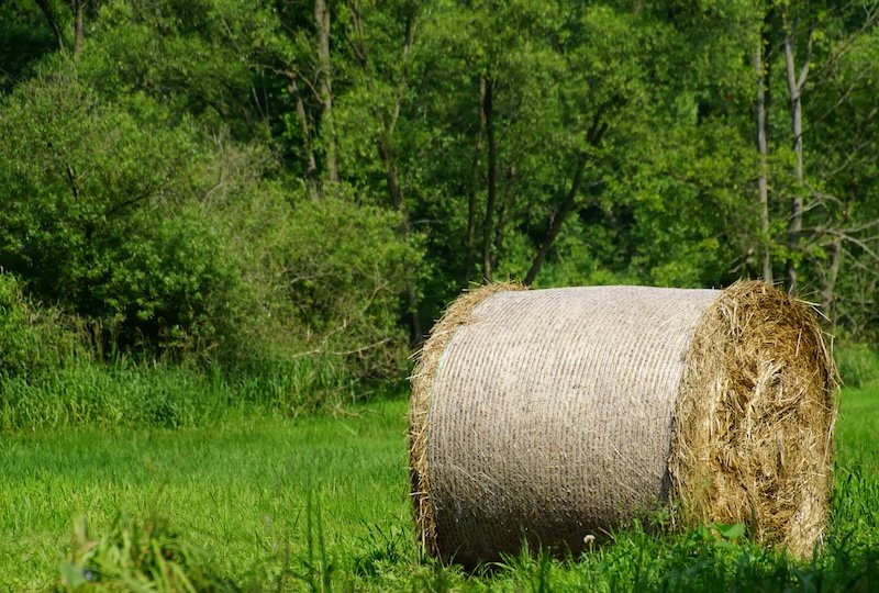Spreewald bale of hay in a rural part of the German countryside Spreewald bale of hay in a rural part of the German countryside