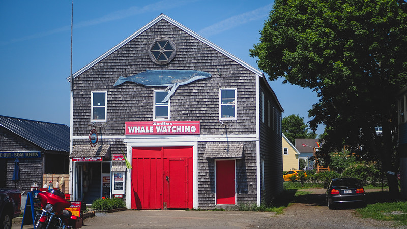 St. Andrews is a popular destination and ideal place for whale-watching tours in New Brunswick