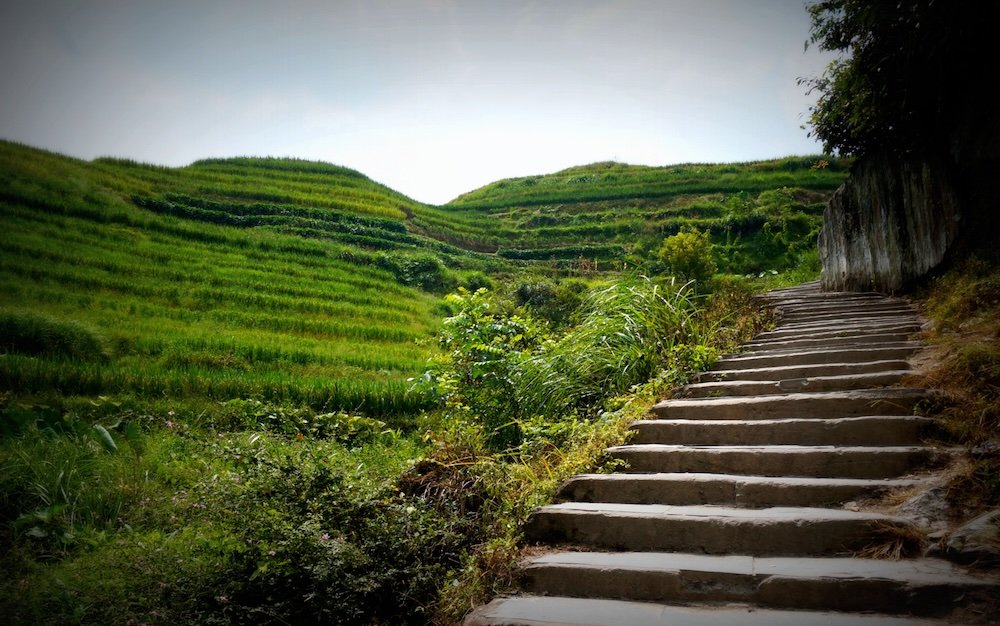Stairs leading up a rice terrace just outside Guilin, China 