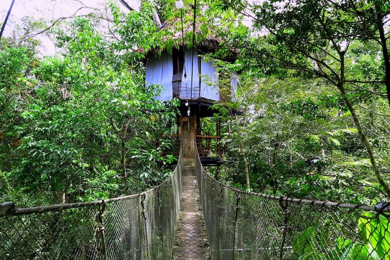 Staying at a treehouse lodge in the Amazon of Peru with ropeway pathway 