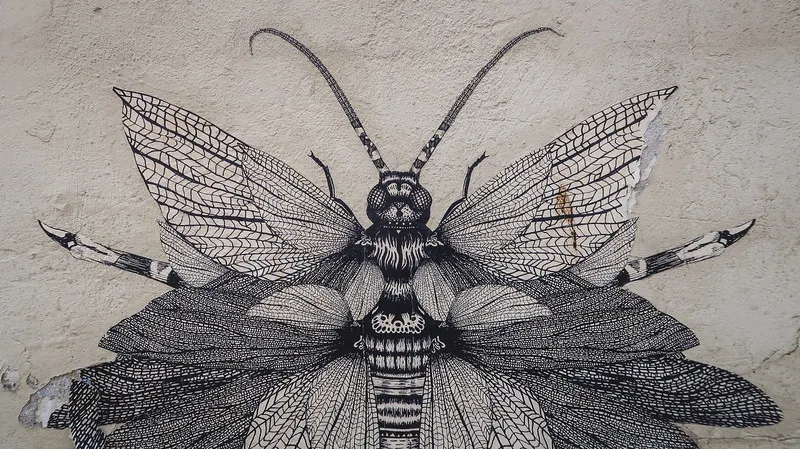 Street art in Krakow featuring a beautifully drawn mosquito or bug in Poland Street art in Krakow featuring a beautifully drawn mosquito or bug in Poland