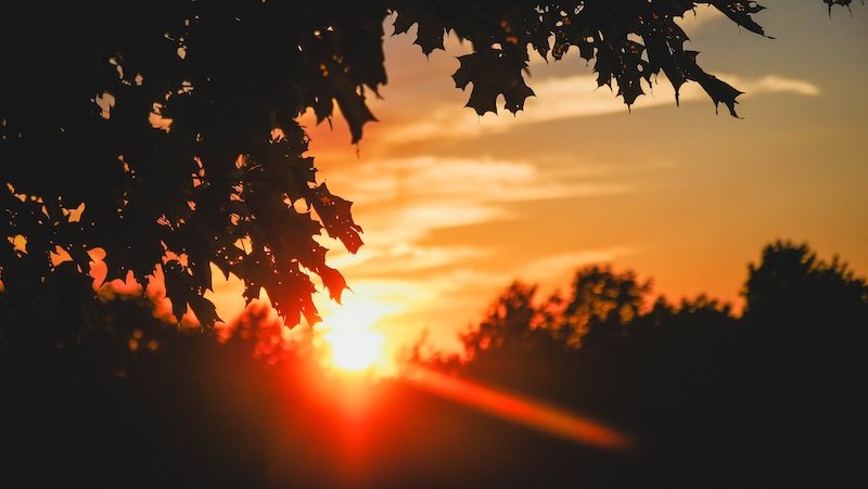 Golden sunrise casting a warm glow over the forested hills of Sutton in Quebec’s Eastern Townships, with dark tree silhouettes and maple leaves framing the vibrant sky