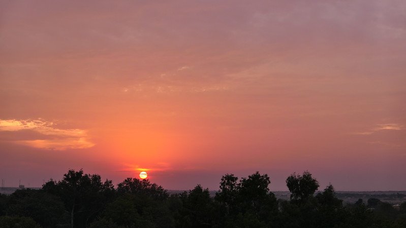 Golden sunrise casting a warm pink and orange glow over the Thar Desert landscape and treetops near Jaisalmer, India, marking the start of a serene desert day