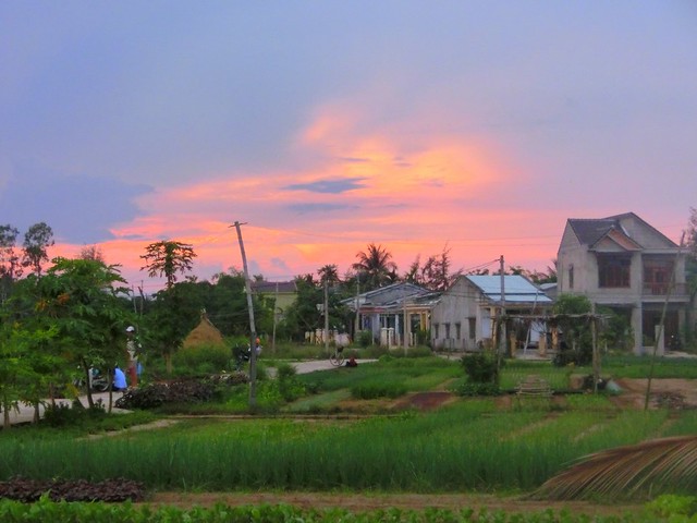 Sunset views in Vietnam on rural day trip made for a nice way to get back to our guest house in Hoi An