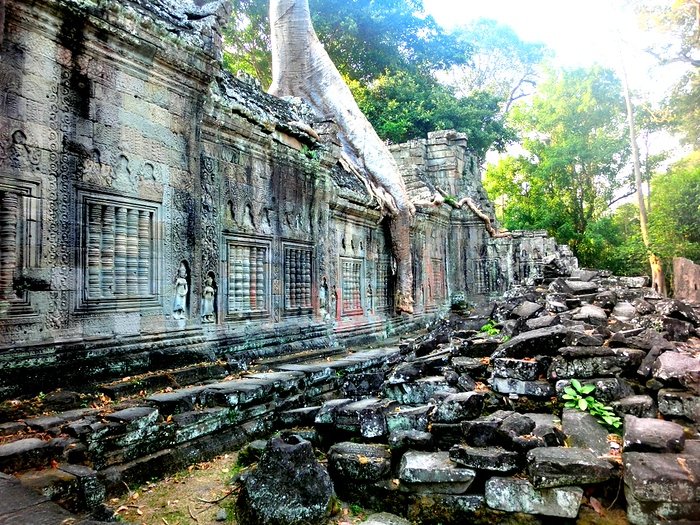 Ancient stone ruins of Ta Prohm Temple in Angkor Archaeological Park, Siem Reap, Cambodia, with intricate carvings on weathered walls and massive tree roots growing over crumbling stones.