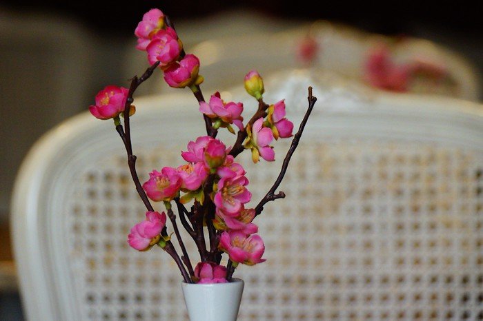 Pink flower arrangement in a café in Tallinn, Estonia adding charm and detail to a day trip experience