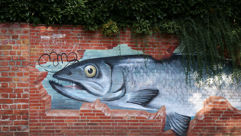 Tasteful and creative street art of herring on a brick in Lüneburg, Germany