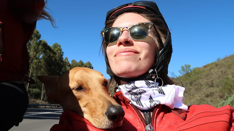 That Backpacker Audrey Bergner and a cute dog enjoying a sidecar tour in Stellenbosch with Brody of Cape Sidecar Adventures