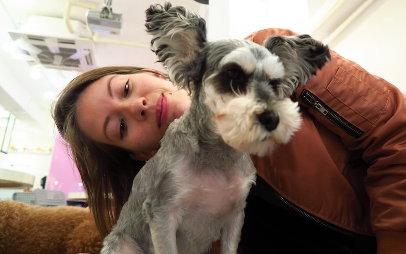That Backpacker Audrey Bergner enjoying a dog cafe experience as an indoor winter activity in Seoul, Korea 