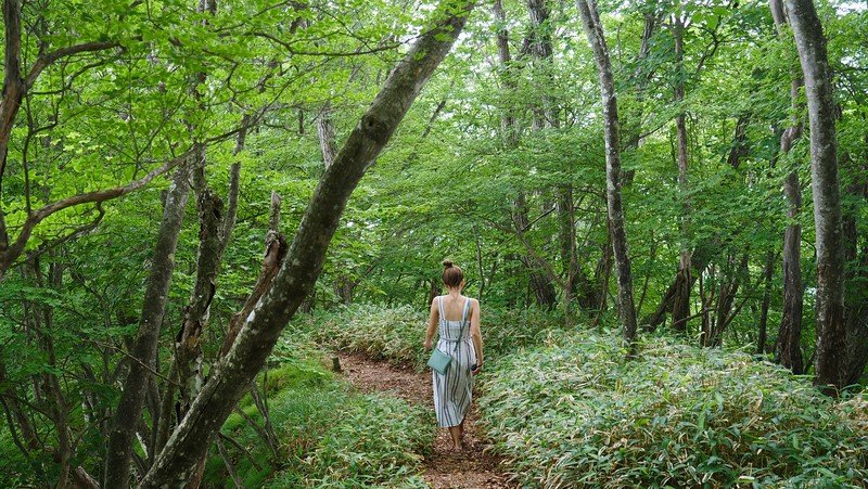 Audrey Bergner of That Backpacker walking along a peaceful forest trail surrounded by lush greenery and bamboo grass in Nikko, Japan, enjoying the tranquility of nature