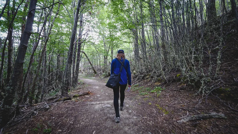 That Backpacker Audrey Bergner hiking through the forest in Argentina That Backpacker Audrey Bergner hiking through the forest in Argentina