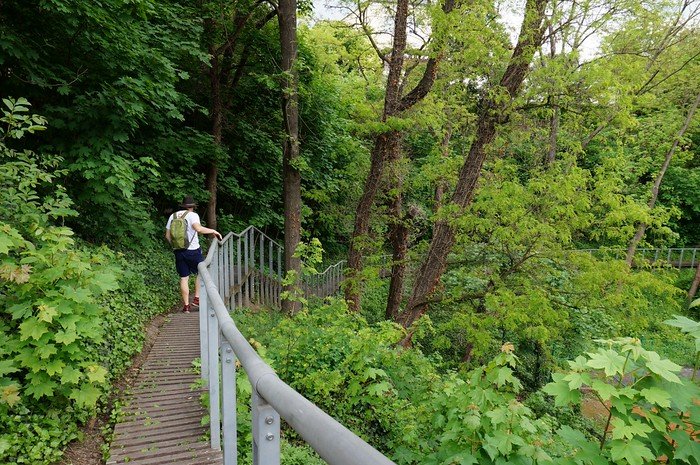 That Backpacker Audrey Bergner hiking along a narrow elevated boardwalk surrounded by lush green forest inside Jelení Příkop park behind Prague Castle in Prague, Czech Republic, during summer.
