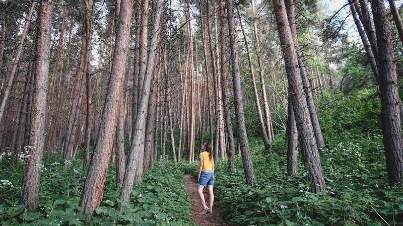 That Backpacker Audrey Bergner marvelling at the trees and nature in a dense forest outside of Karakol, Kyrgyzstan 