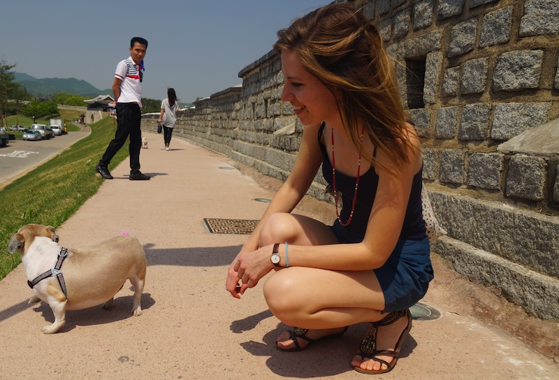 That Backpacker Audrey Bergner meeting a cute dog in Suwon, South Korea while teaching English 