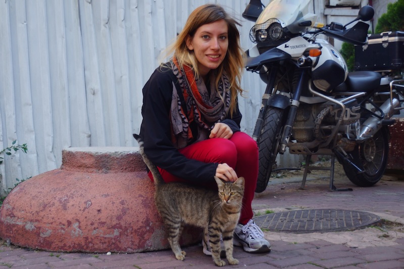 That Backpacker Audrey Bergner petting a cute cat in Istanbul, Turkey where you see many stray cats that local take care of very well 