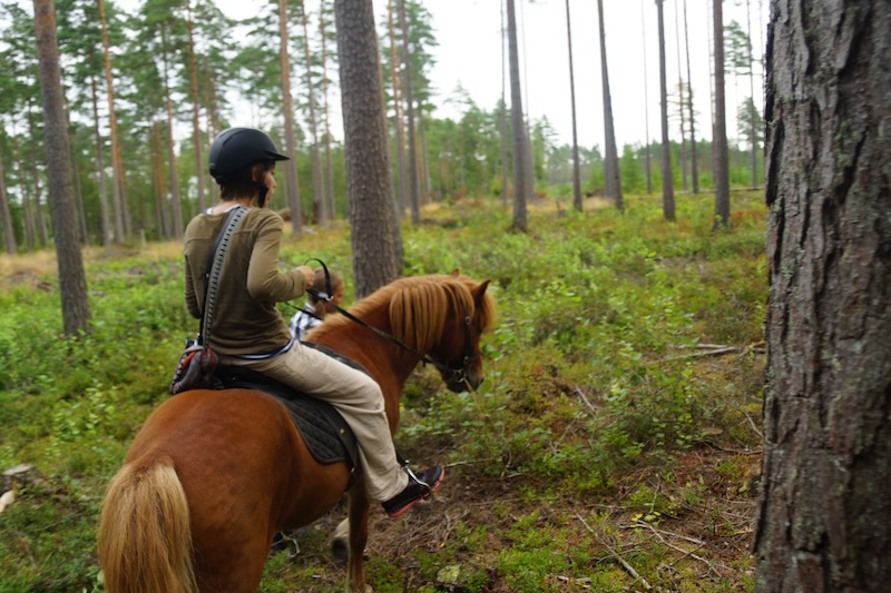 That Backpacker Audrey Bergner riding a horse in Finland during the summer 