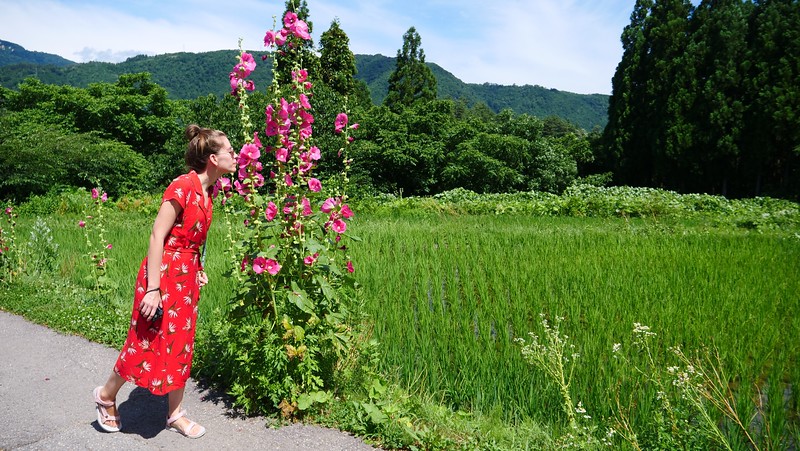 That Backpacker Audrey Bergner smelling the flowers in bloom on our day trip to Shirakawa-go, Japan That Backpacker Audrey Bergner smelling the flowers in bloom on our day trip to Shirakawa-go, Japan
