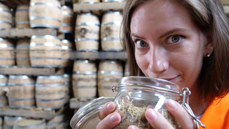 That Backpacker Audrey Bergner smelling the ingredients used to make spirits and beer in Glasgow, Scotland That Backpacker Audrey Bergner smelling the ingredients used to make spirits and beer in Glasgow, Scotland