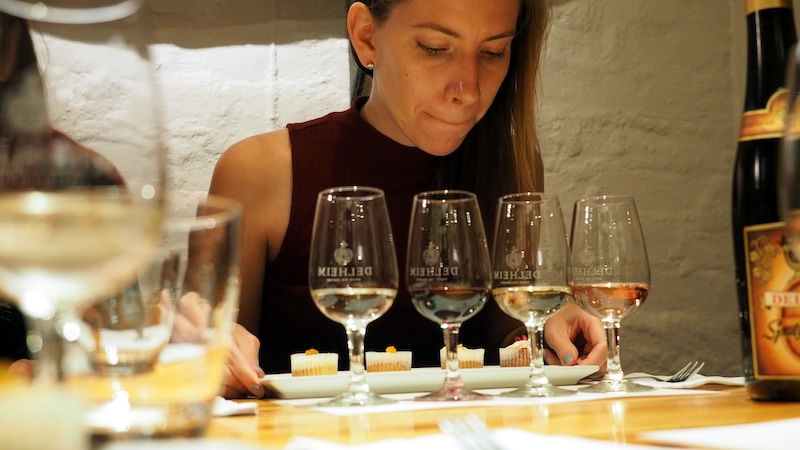 That Backpacker Audrey Bergner studying her cupcakes and wine pairing in Stellenbosch, South Africa That Backpacker Audrey Bergner studying her cupcakes and wine pairing in Stellenbosch, South Africa