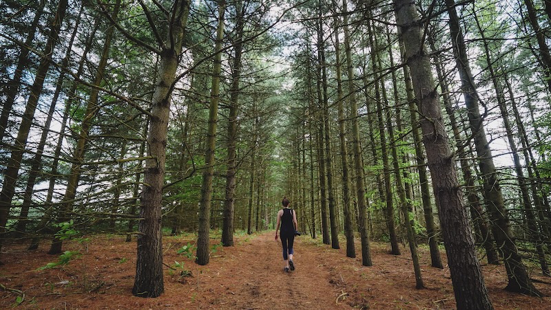 That Backpacker Audrey Bergner hiking in the forest during an off-grid adventure in Ontario 
