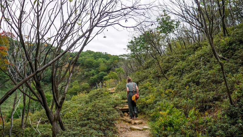 That Backpacker Audrey Bergner hiking in the forest visiting Noboribetsu Onsen in Hokkaido, Japan 