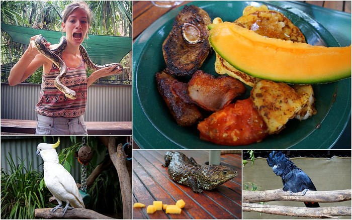 Magnetic Island Travel Guide: Stepping Back In Time in Queensland