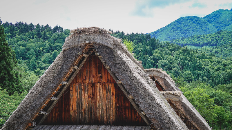Thatched roof with wooden beams and lots of straw in an a-frame shape - that's how they build the farmhouses in Shirakawa-go, Japan Thatched roof with wooden beams and lots of straw in an a-frame shape - that's how they build the farmhouses in Shirakawa-go, Japan