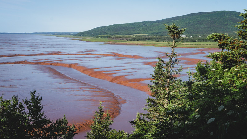 The Bay of Fundy as seen from Hopewell Rocks, New Brunswick with a slick red muddy appearance from a distant vantage point 