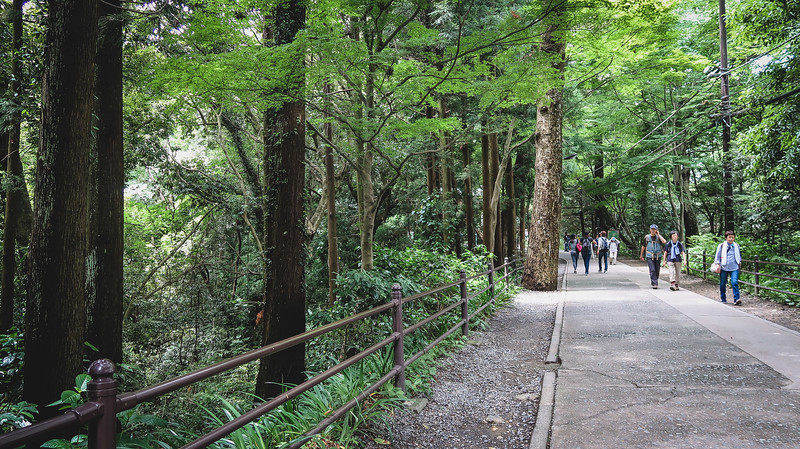 The Cedar Walk on Mount Takao, Japan which is paved and an easy trail for those seeking nature but not adventure
