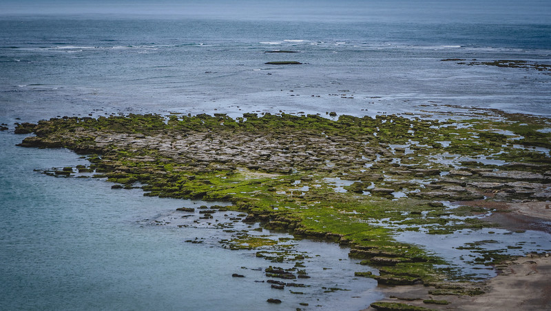 The coastline along Punta Delgada with its greenery and scattered formation