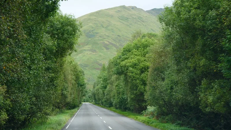 The drive from Dunoon to Glasgow is very green with lush trees and mountains 