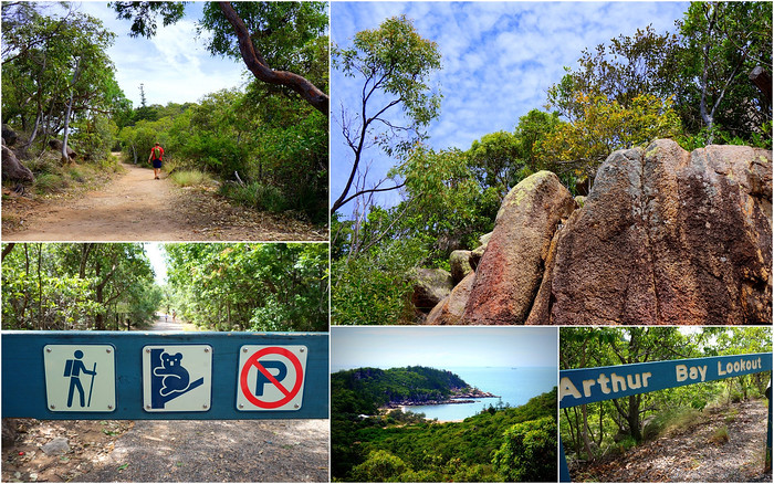 The Forts Walk on Magnetic Island in search of koalas with many scenic lookout points in Australia