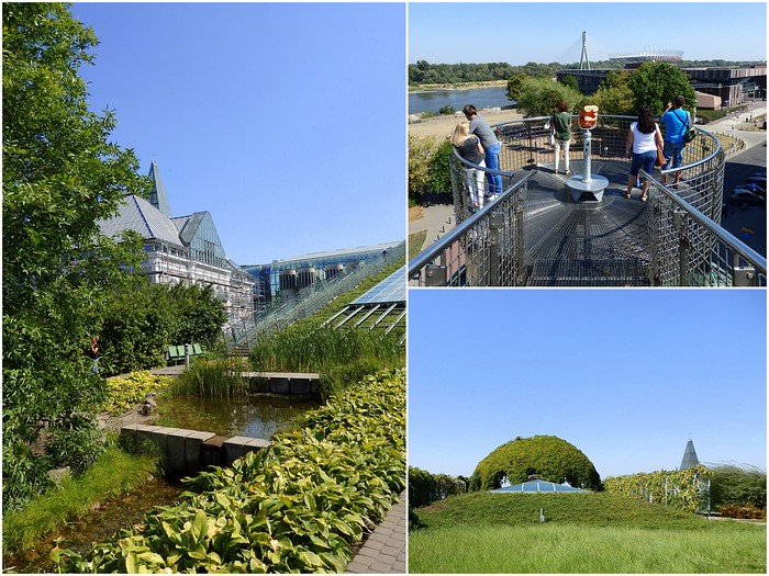 The Gardens on the roof of Warsaw University Library in Warsaw, Poland was our favourite green escape in the city 